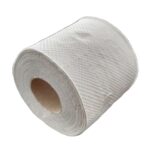 Toilettenpapier 2-lagig Recycling
